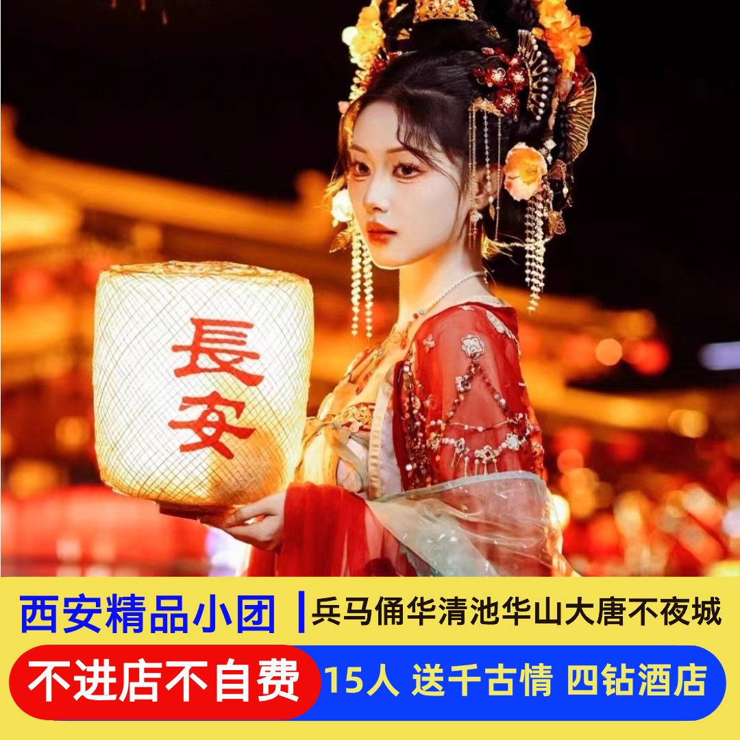 【不进店不自费小团】西安4日兵马俑华山华清池大唐不夜城大雁塔 - 定制游预订