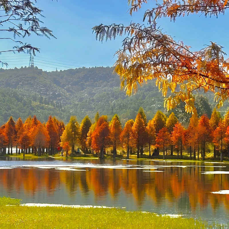 昆明洲际酒店豪华住宿+昆明石林风景区成人票