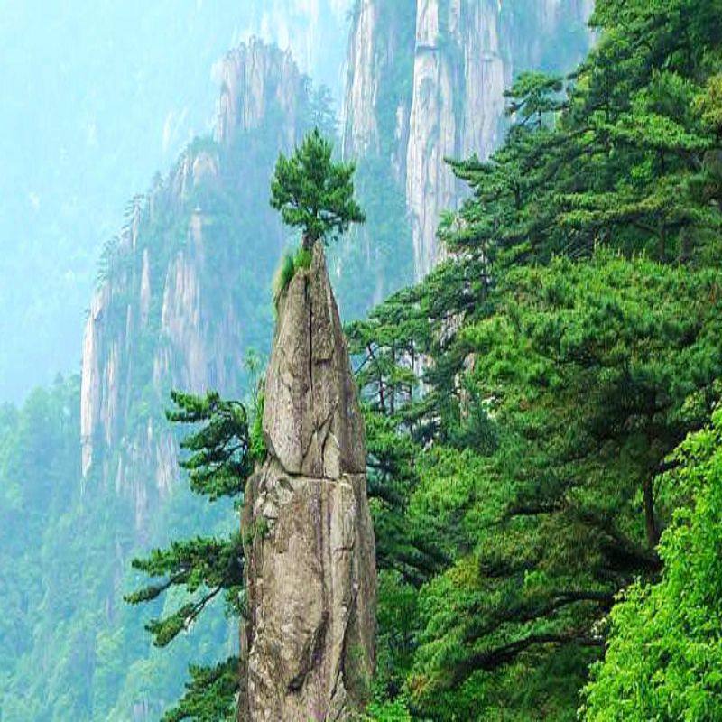 【甄选&畅游】安徽黄山九华山新安江婺源千岛湖7天自由行 - 定制游预订