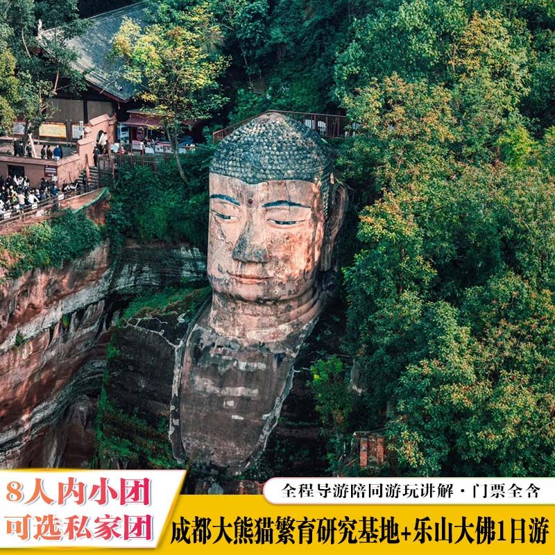 8人内小团全程导游陪同讲解成都大熊猫基地+乐山大佛1日游 - 定制游预订