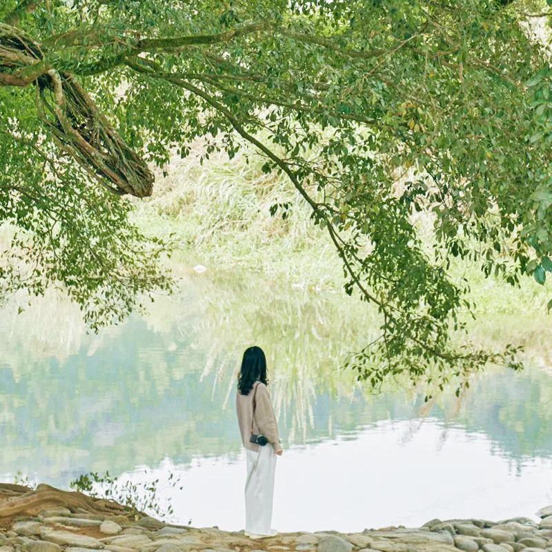 厦门漳州泉州旅游5天4晚鼓浪屿日光岩云水谣开元寺海丝文化主题 - 定制游预订