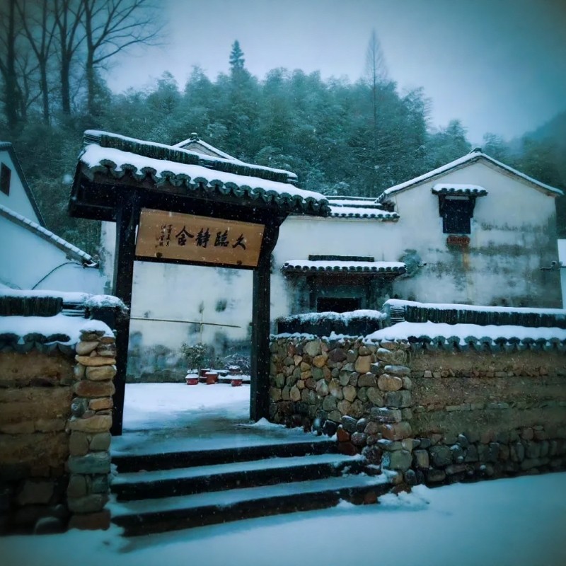 【湖畔风雅,超山有约】3天2晚杭州见吾乡·久临静舍湖畔民宿+超山景区门票