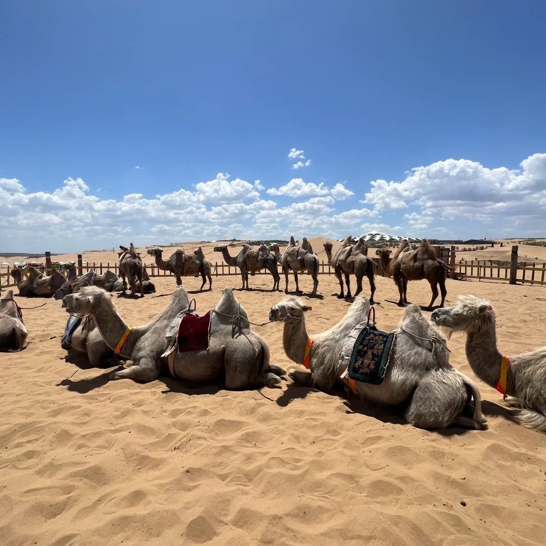 一粒沙度假村住宿+响沙湾门票+索道成人门票