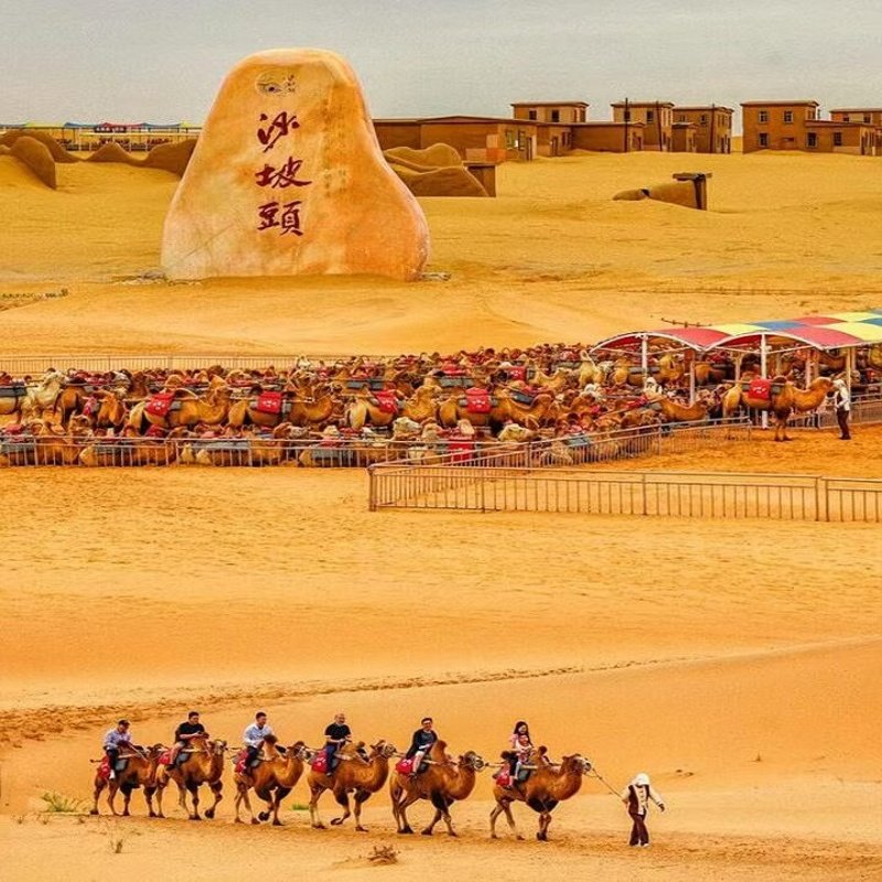 中卫沙坡头+腾格里沙漠99号公路 - 定制游预订