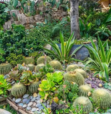 大理苍山植物园