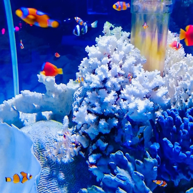 【秘境畅游】3天2晚乌鲁木齐中建福朋喜来登酒店+盐湖/海世界/汗血马基地/天山天池任选