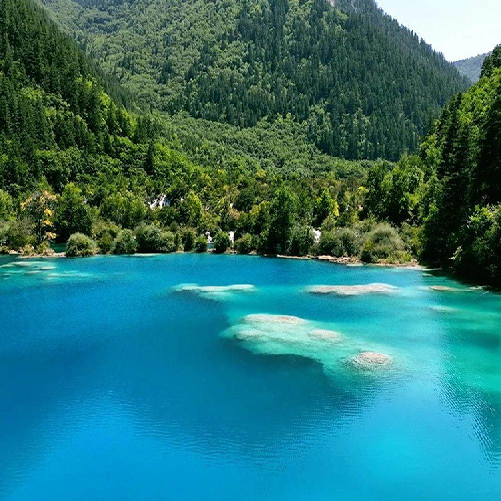 四川成都+九寨沟+黄龙+熊猫乐园+峨眉山8日7晚游 - 定制游预订