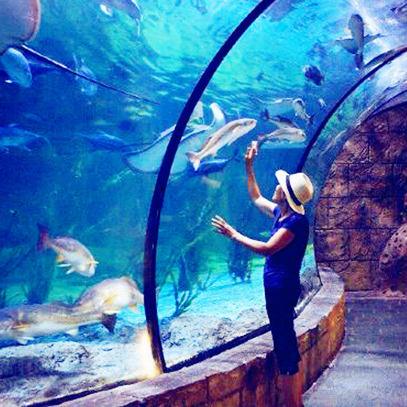 非周末特价杭州博奥开元+长乔极地海洋公园/森泊水乐园/幻想岛