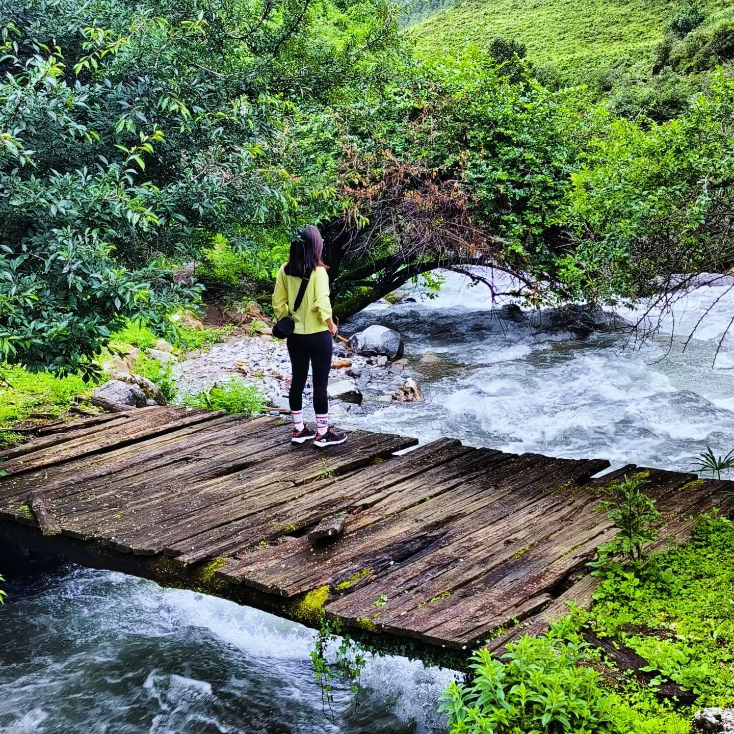 香格里拉尼汝村徒步露营3天2晚纯玩小团 七彩瀑布南宝牧场色列湖 - 定制游预订