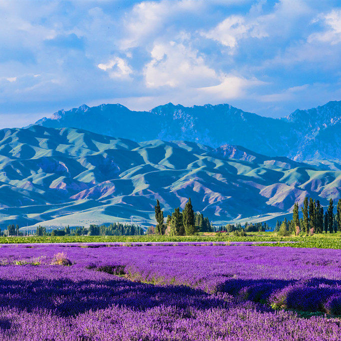 私家团·新疆薰衣草独库北段250KM6天【野奢克鲁格+喀赞其梵境】