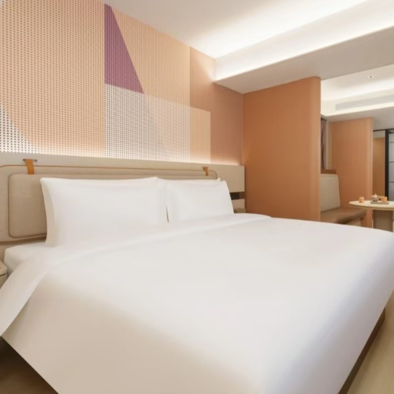 【3天2晚】哈尔滨桔子酒店/松北冰雪大世界店/火车站中央大街店/群力机场路店+景点门票