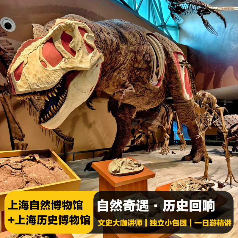 猩咖说上海自然博物馆+历史博物馆4H包团人工讲解上海旅游 - 定制游预订