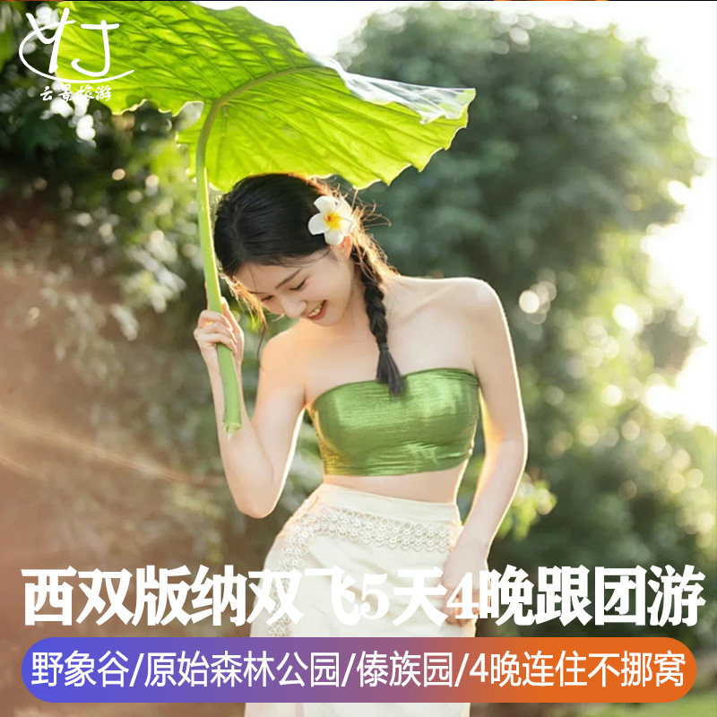 直飞西双版纳旅游5天4晚野象谷原始森林公园孔雀放飞【全国出发】 - 定制游预订