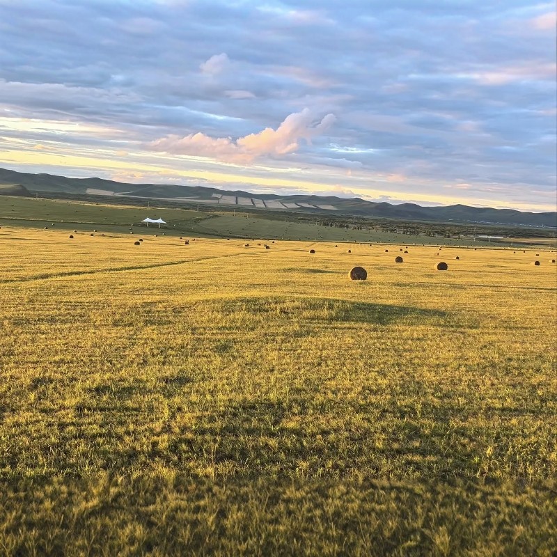 【乐享】呼伦贝尔高端连锁酒店2天1晚+满洲里口岸国门景区+呼伦湖旅游景区 - 定制游预订