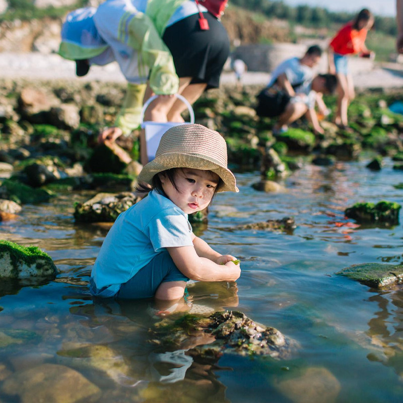 汽车出发福建厦门1天小嶝岛赶海自由行 - 定制游预订