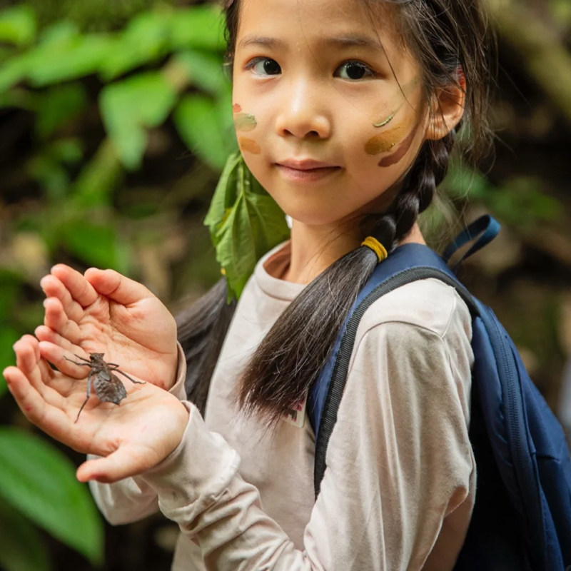 贵阳高铁出发西双版纳6天5晚自由行可选酒店搭美食泡温泉电影票 - 定制游预订