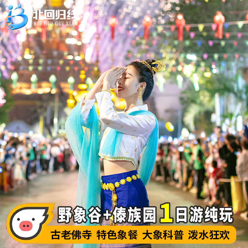 云南旅游西双版纳 野象谷+傣族园一日游-15人团泼水狂欢+探秘野象 - 定制游预订