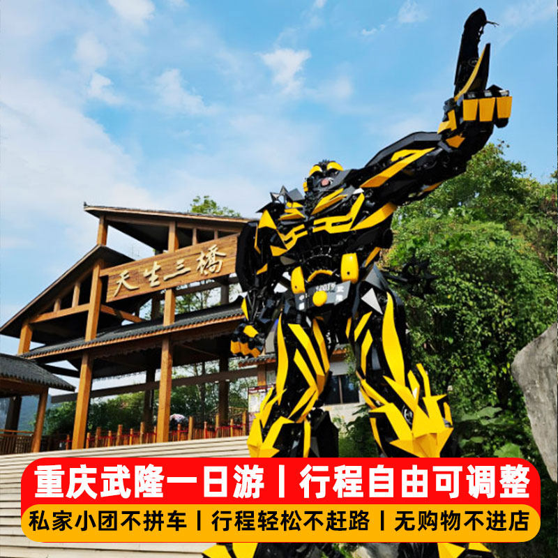 私家团不拼车武隆天坑地缝仙女山解放碑重庆一日游纯玩跟团游门票 - 定制游预订