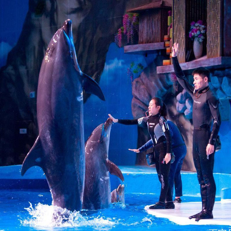 【南昌2天1晚】1人可订 南昌融创施柏阁酒店+2人早餐 可选海世界融创乐园滕王阁海昏侯