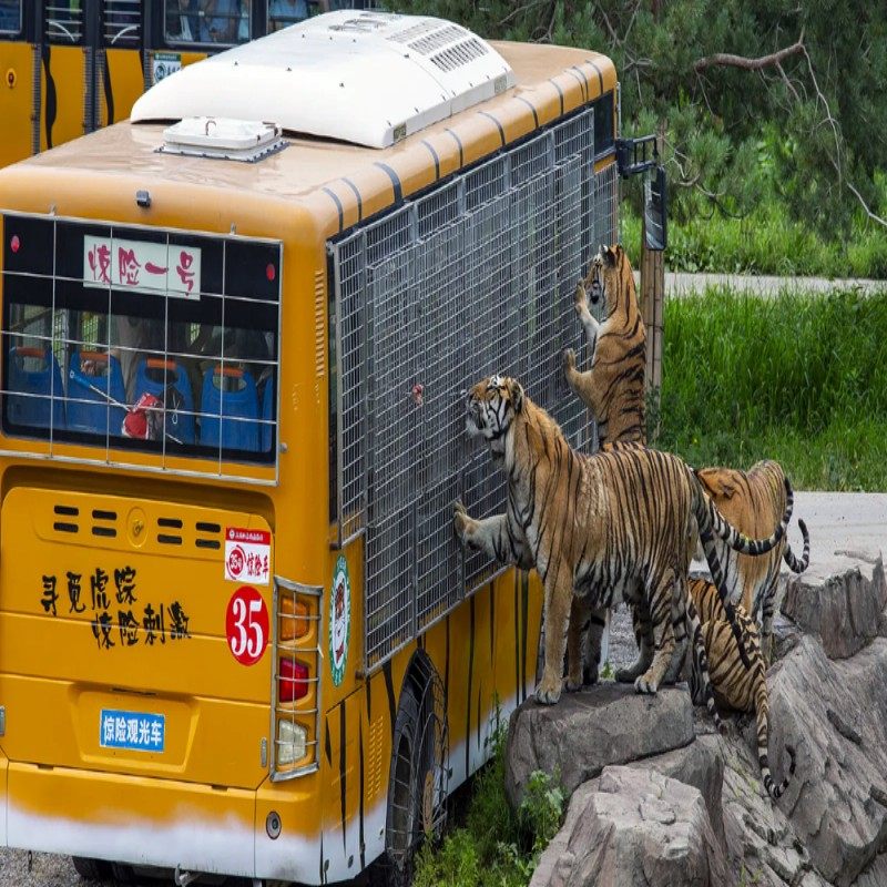 周末年假套餐 哈尔滨自由行2-5日 豪滨假日酒店 哈布斯堡酒店 2晚3日 可定其它酒店