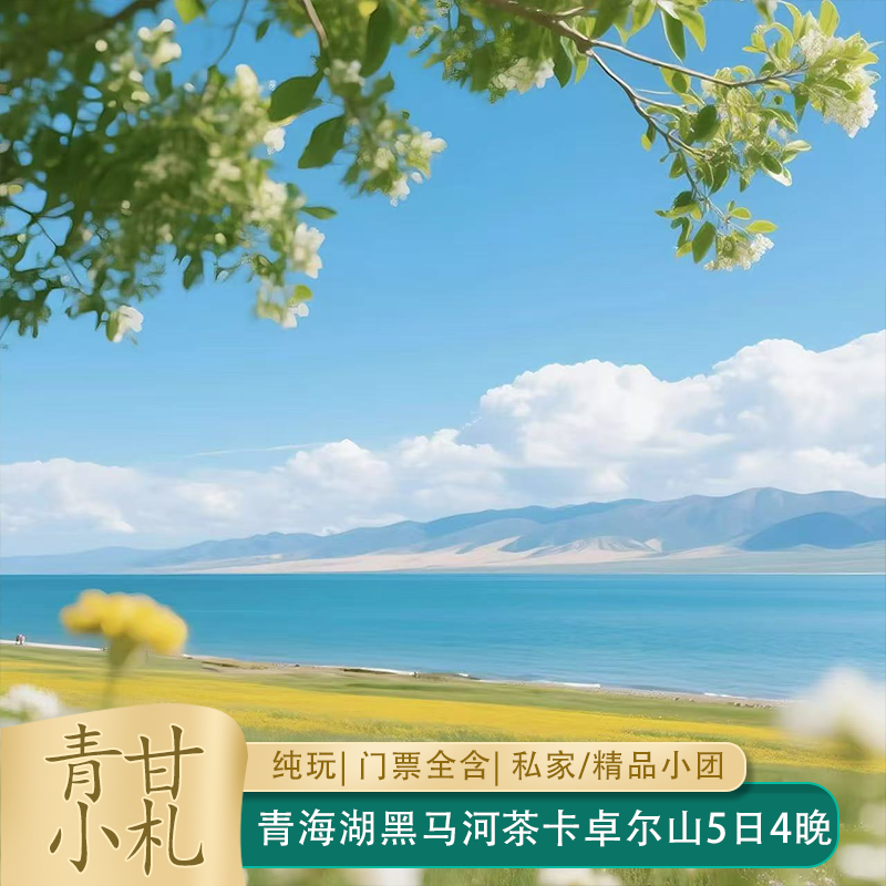 秋冬雪景甘青青海湖黑马河茶卡盐湖卓尔山祁连山5天4晚纯玩私家团 - 定制游预订