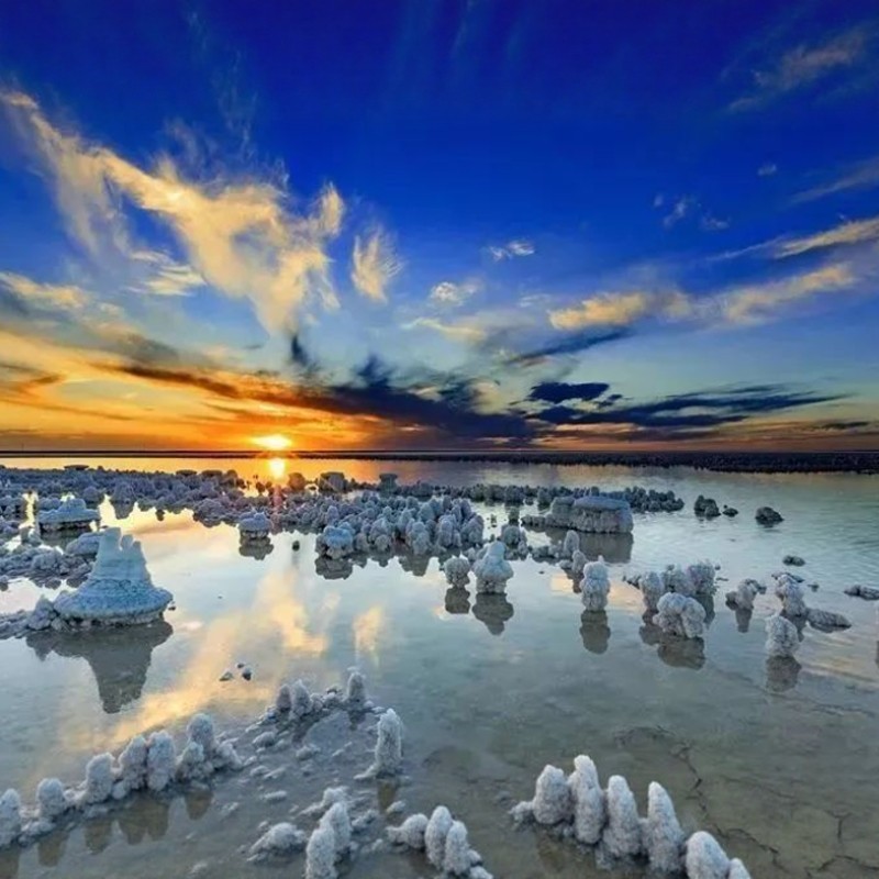 【希尔顿随心选】2晚乌鲁木齐希尔顿欢朋酒店+盐湖/海世界/汗血马基地/天山天池任选