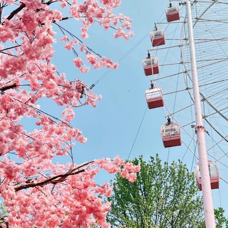 【乐享】武汉泰洋酒店豪华套房三天两晚+东湖+光谷广场