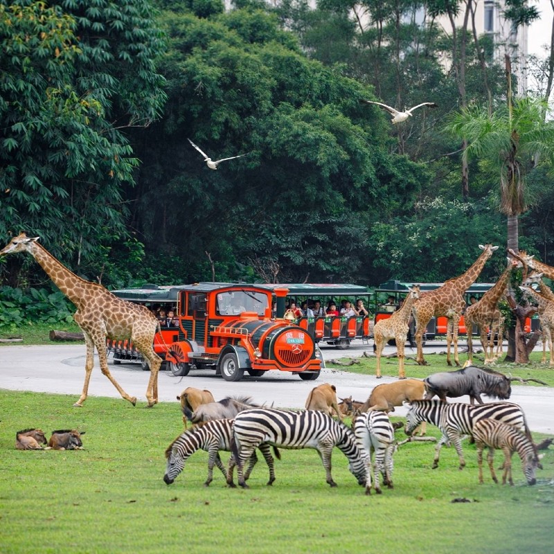 广州长隆酒店(广州长隆野生动物世界店)+长隆野生动物世界+长隆水上乐园3天2晚自由行