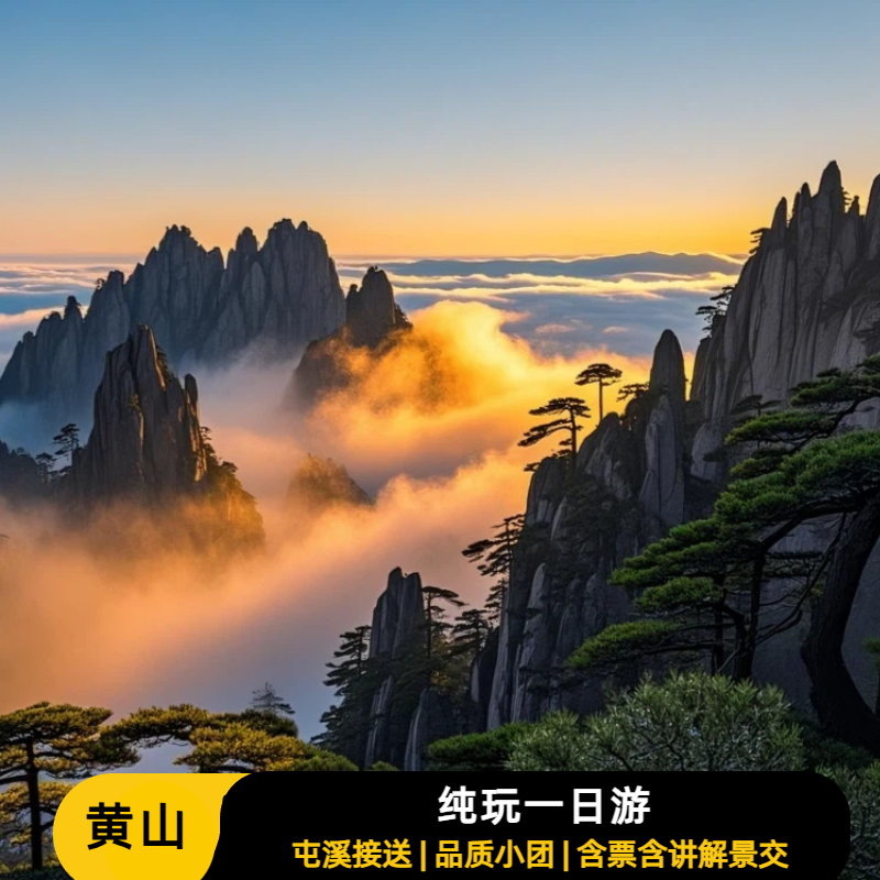 黄山一日 | 16人精致小团|纯玩精华一日游 市区屯溪接送 不含索道 - 定制游预订