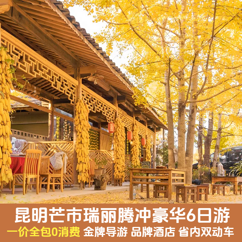 云南旅游昆明芒市瑞丽腾冲6天5晚豪华跟团私家团纯享旅行动车往返 - 定制游预订