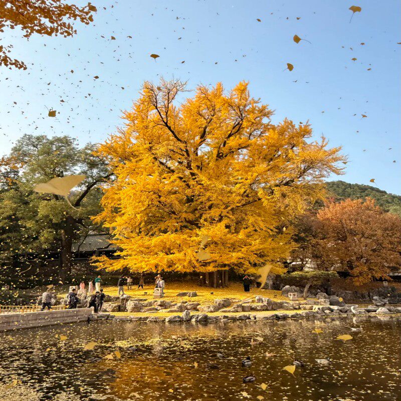 徐州方特熊出没酒店2天1晚+徐州方特乐园成人票+双早