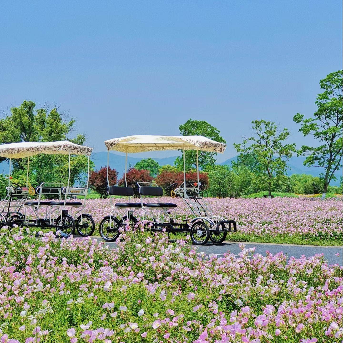 【包团】杭州良渚古城遗址公园(含观光车)+3小时讲解 - 定制游预订