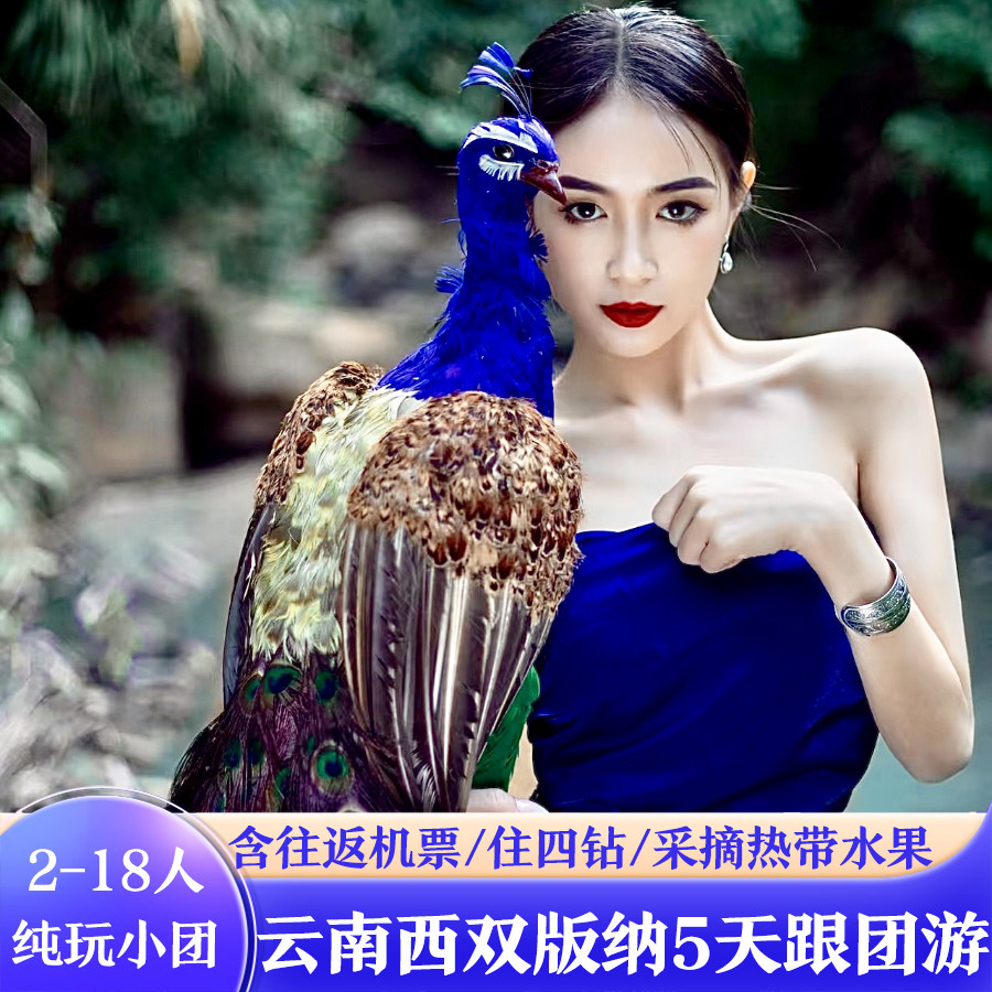 【含机票18人团】亲子游西双版纳5天4晚跟团游大佛寺纯玩云南 - 定制游预订