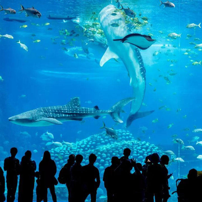 【寒假可订】珠海长隆企鹅/横琴湾/飞船/马戏酒店套餐长隆海洋王国门票2天1晚家庭套票