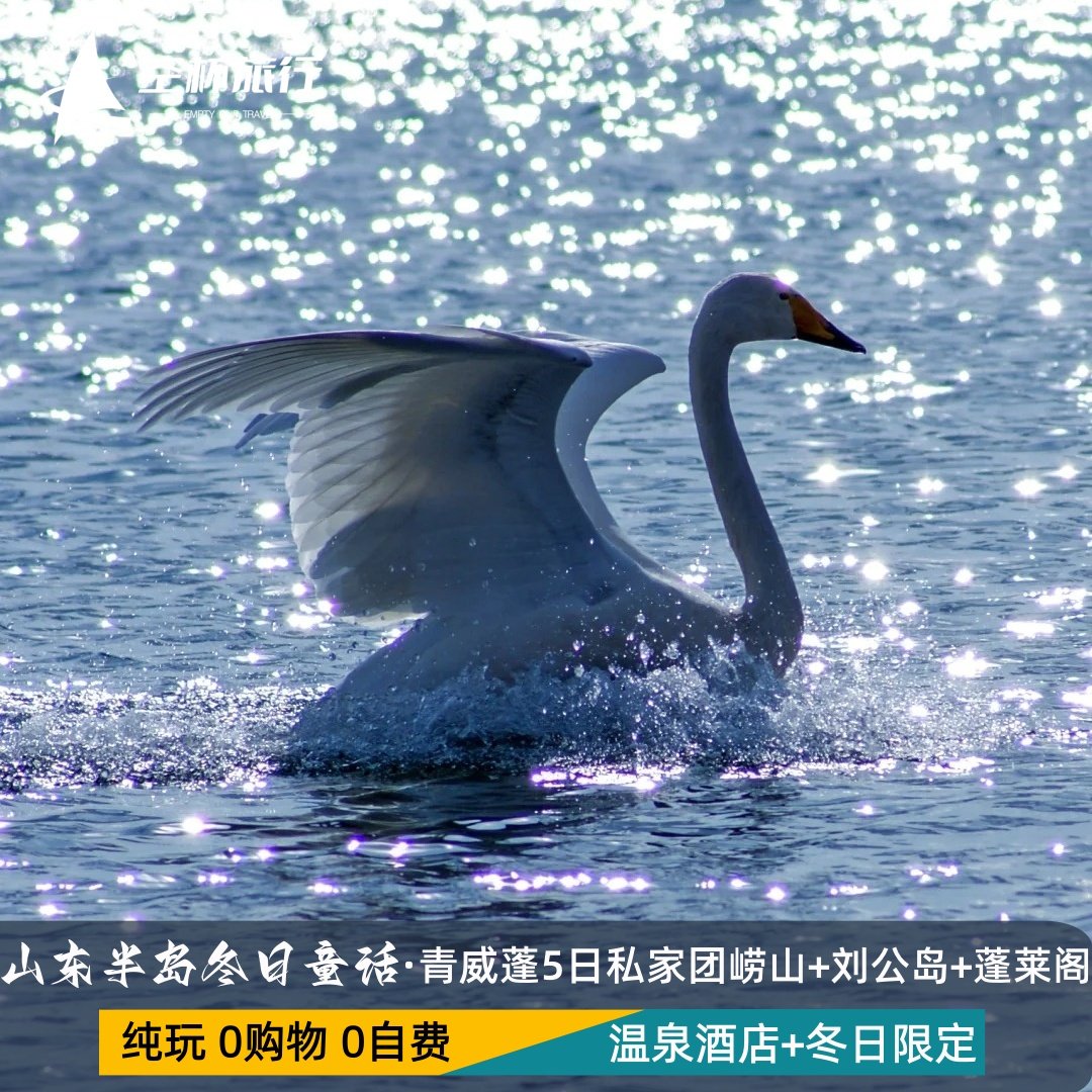 青岛威海蓬莱秋冬季旅游网红丨轻奢丨度假纯玩5天4晚私家团泡温泉 - 定制游预订