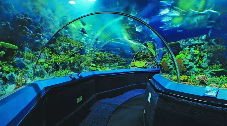 上海海洋水族馆特色: 150米的海底景观隧道,有种置身海底的感觉,小