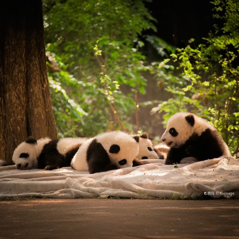 潮州%2天1晚自由行