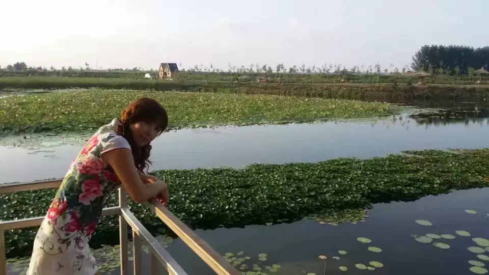 柳壕河湿地公园图片