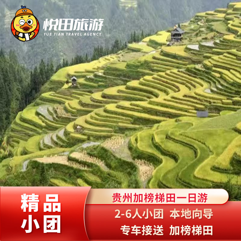 贵州从江/肇兴侗寨至加榜梯田一日游 2-6人团含门票包车纯玩旅游 - 定制游预订