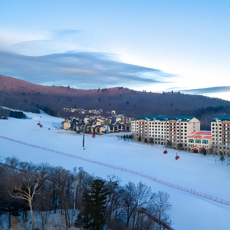 亚布力滑雪1日 初级滑雪3小时 高山缆车 马拉爬犁 滑道 滑雪装备 - 定制游预订