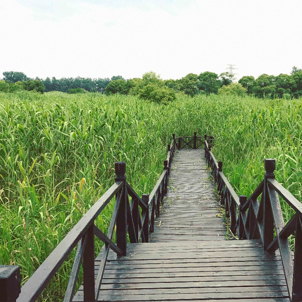 【秋染芦花】2晚江苏苏州常熟沙家浜花间亭·芦花湾+沙家浜门票1送1