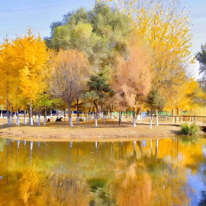 沈阳市区豪华酒店住宿+沈阳方特乐园成人门票