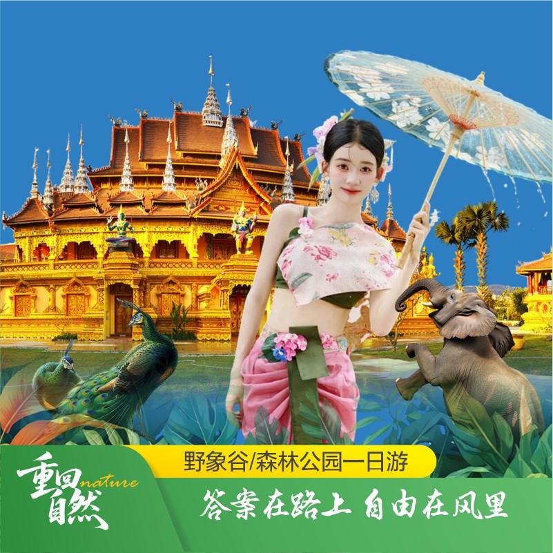 云南西双版纳旅游野象谷+森林公园纯玩一日游 孔雀放飞 野象踪迹 - 定制游预订