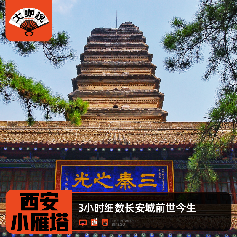 大咖说®西安博物院+小雁塔一日游3小时深度讲解15人小团含门票 - 定制游预订