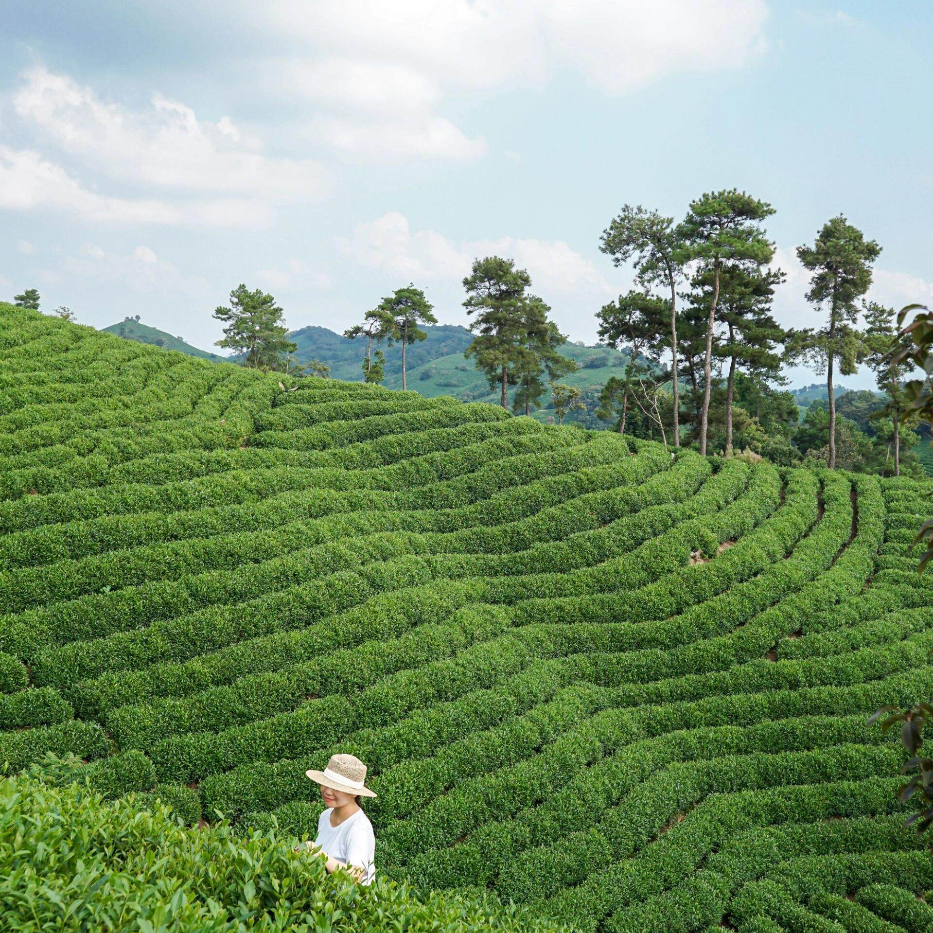 信阳本地品牌酒店住宿+灵山风景区成人票 - 定制游预订