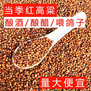 Guizhou glutinous sorghum farmers produce homemade wine-making special red sorghum and red tassels brewed with vinegar, edible pigeon grain and miscellaneous grain feed