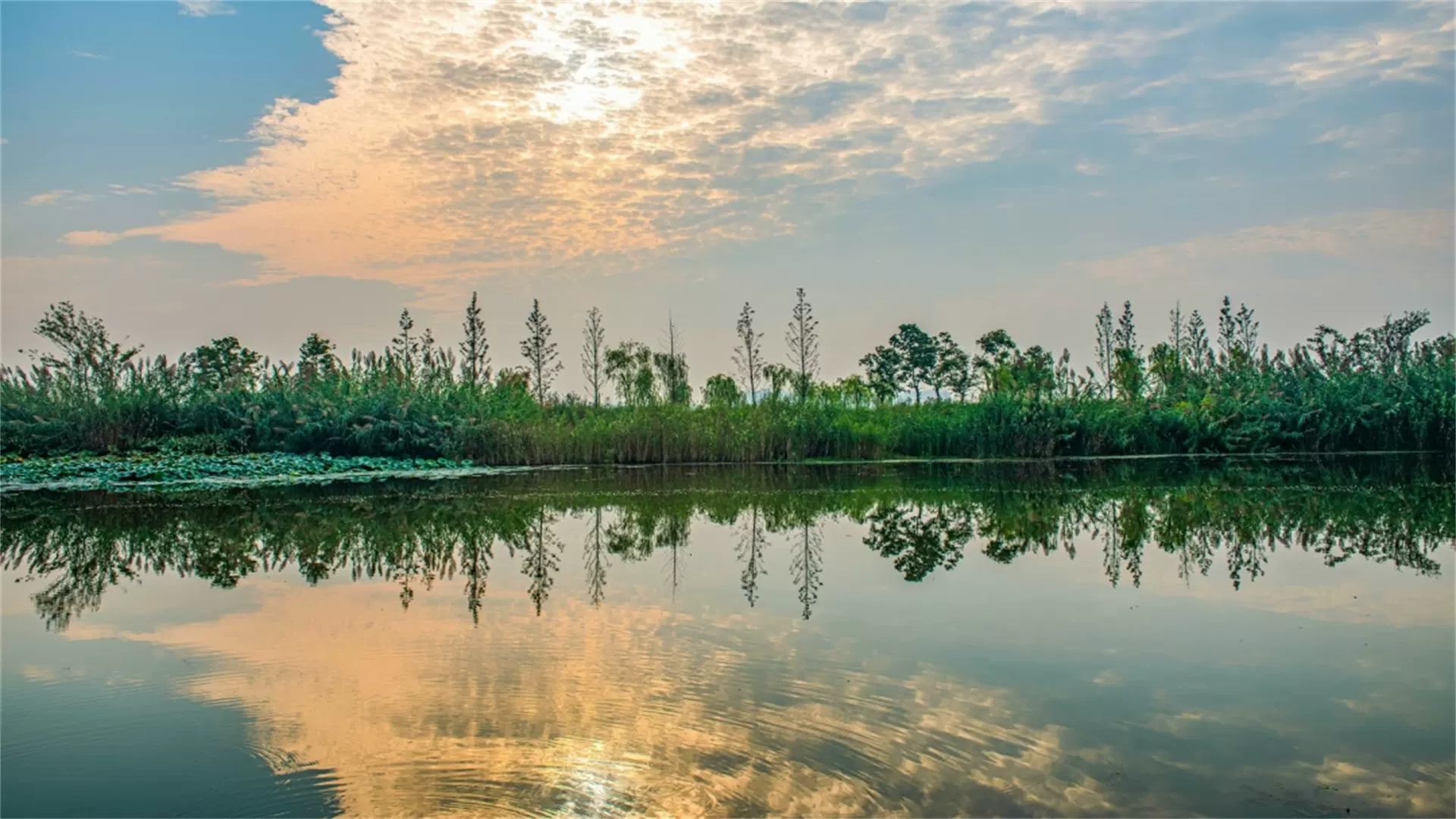 北湖湿地公园图片