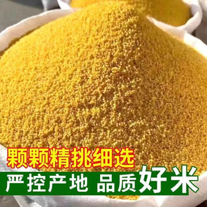 
Yellow millet, new rice, fat millet, glutinous millet, whole grains, oily millet porridge, farmhouse small yellow rice