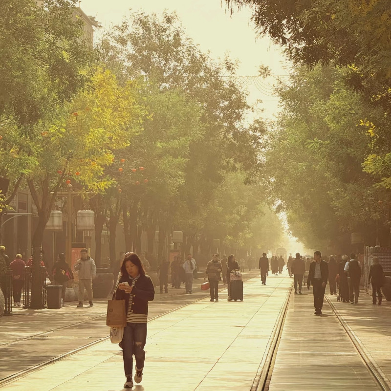 秋季的北京值得品味&北京深度7日私家团+游览鲁迅故居+香山公园 - 定制游预订