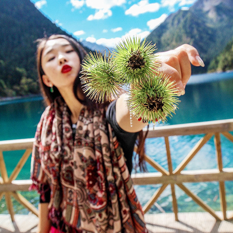 含机票|成都九寨沟黄龙4天3晚跟团游纯玩游亲子送旅拍可升头等舱